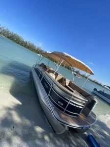 Photo Dec 25 2025, 1 37 09 PM