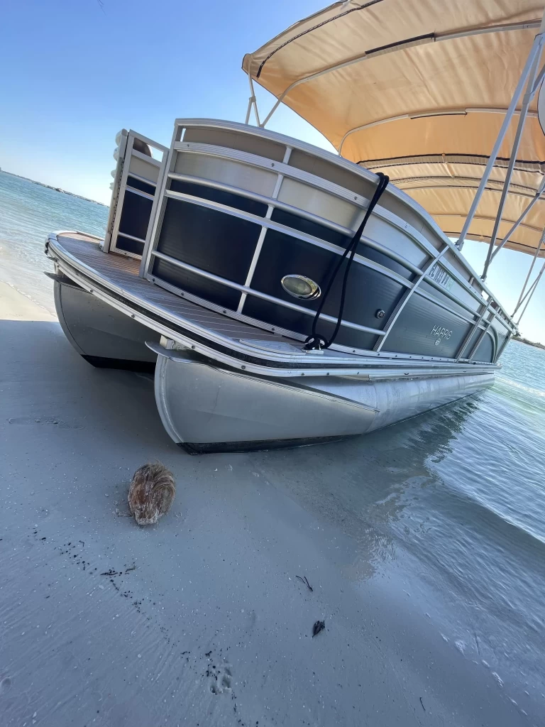 Photo Dec 25 2025, 3 03 16 PM